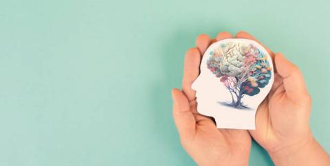 Image of a sea foam green background. In the front are two hands that are holding the image of a person's head. In the image is another image of a tree growing a healthy brain. 