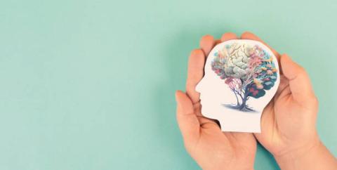 Image of a sea foam green background. In the front are two hands that are holding the image of a person's head. In the image is another image of a tree growing a healthy brain.